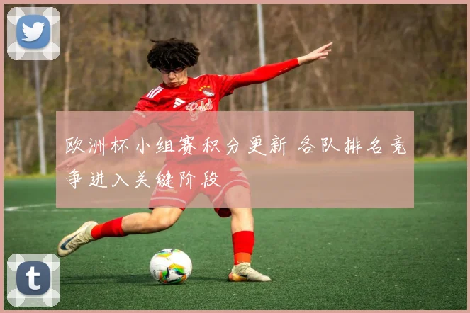 欧洲杯小组赛积分更新 各队排名竞争进入关键阶段