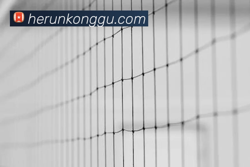 星空·体育(中国)官方入口(中国) - 唯一官方网站平台生态图