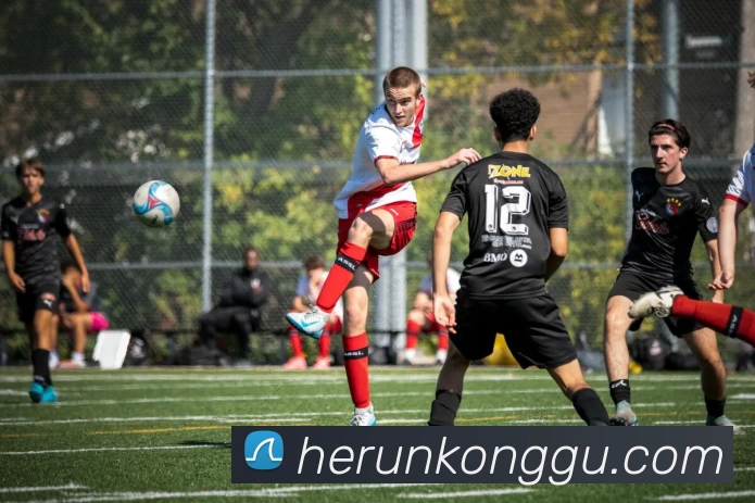 星空·体育(中国)官方入口(中国) - 唯一官方网站APP 封面图